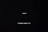 陶環藏品圖，第2張